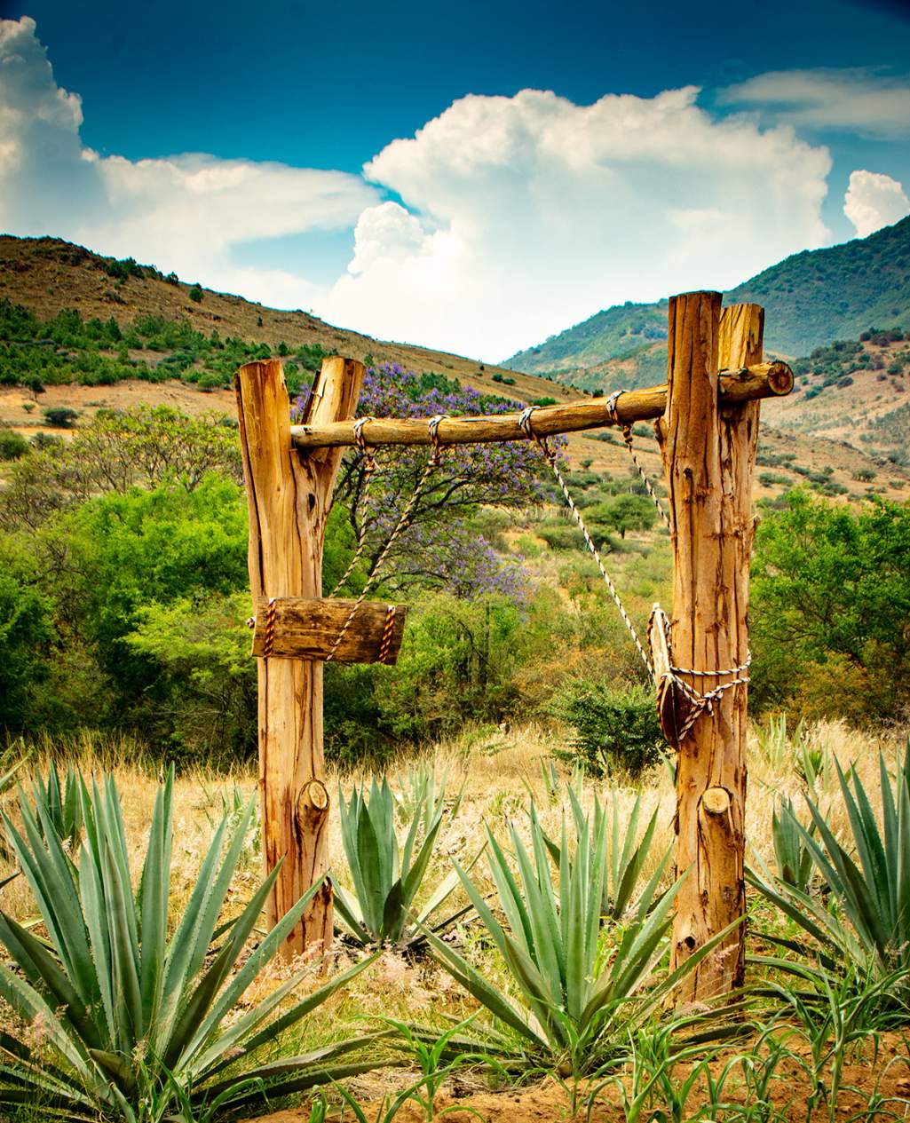 Mezcal Rambhá