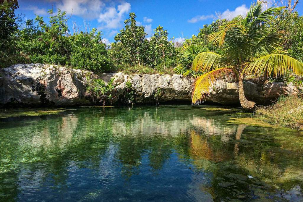 Cdenote utanför Tulum