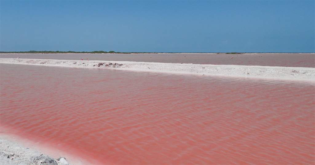 Las Coloradas från båtturen i Río Lagartos (med flamingos på avstånd)