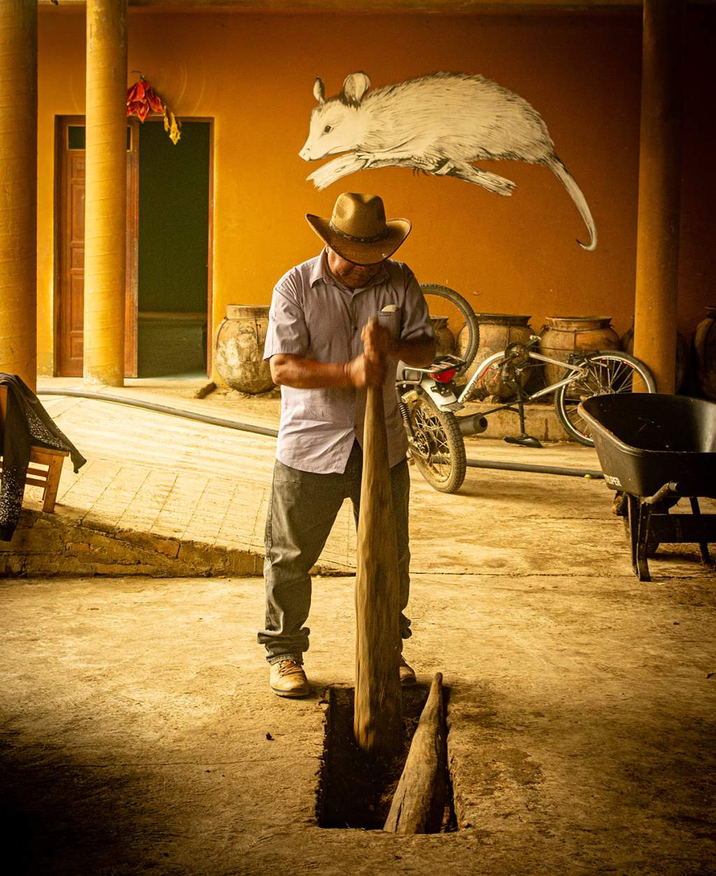 Felix Angeles Arellanes krosar rostad agave