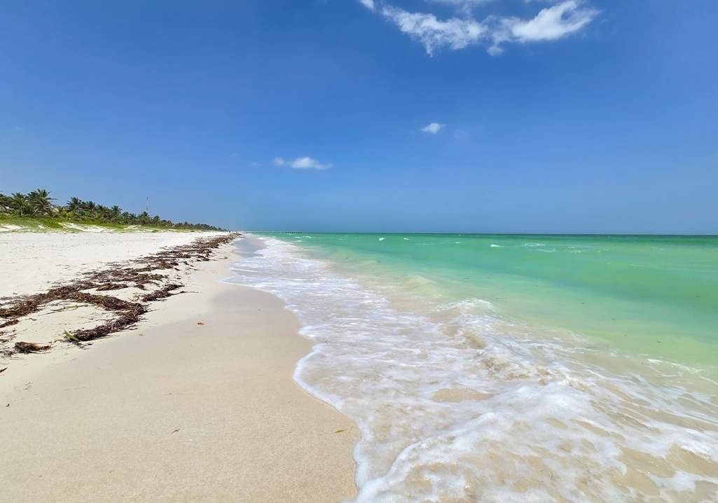 Öde strand i El Cuyo, Yucatán