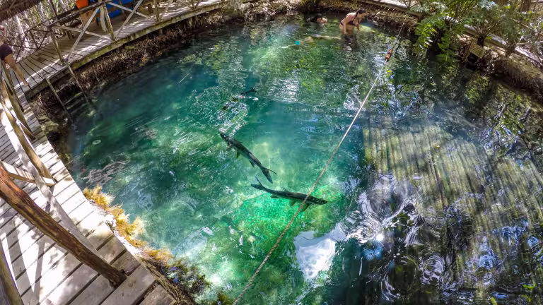 Ojo de Agua