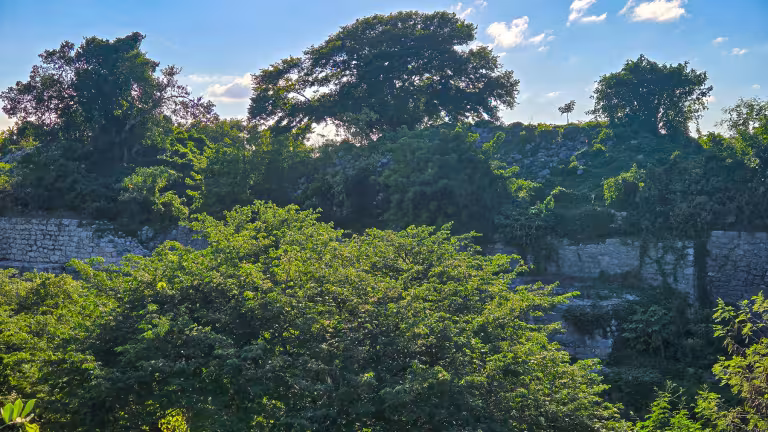 Överväxt ruin. Bilden tagen på annan plats i närområdet. Bild: Henric Carlsson / Mexikanskt.se