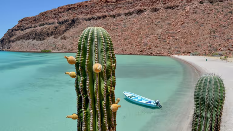 Södra Baja Caliornia