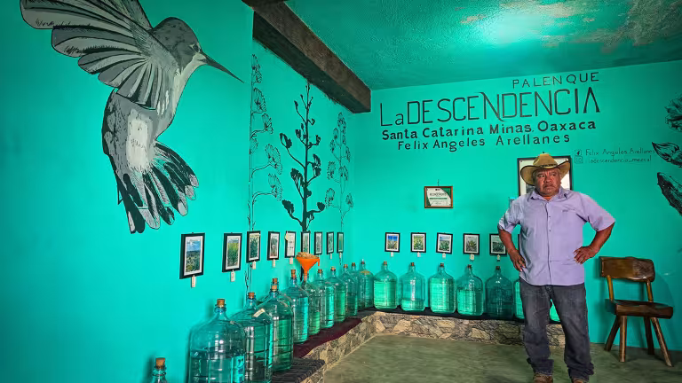 Felix Angeles Arellanes på Palenque La Descendencia. Bild: Henric Carlsson / Mexikanskt.se