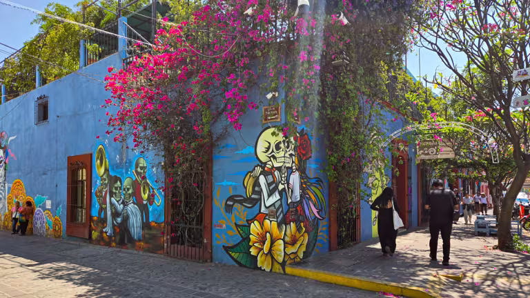 Gata och muralmålning i Barrio de Jalatlaco