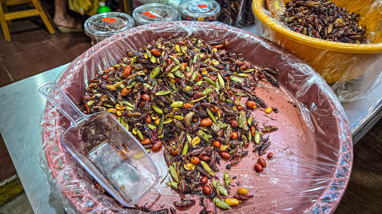 Snacks bestående av nötter, frön och insekter på La Merced.