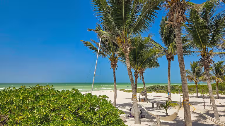 Strand, palmer och hav i El Cuyo, Yucatán, Mexiko. Bild: Henric Carlsson / Mexikanskt.se